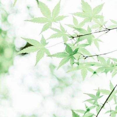 意法半导体引领超宽带技术在汽车...
